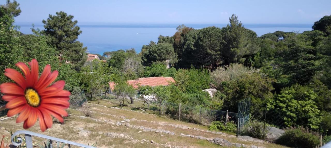 Casa Panoramica Bouganville SantʼAndrea Exterior foto